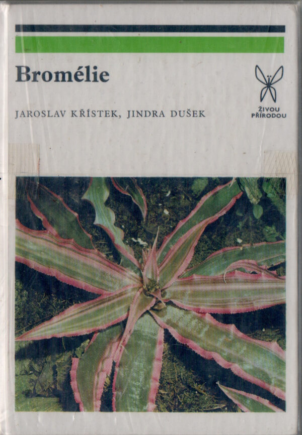 Bromélie