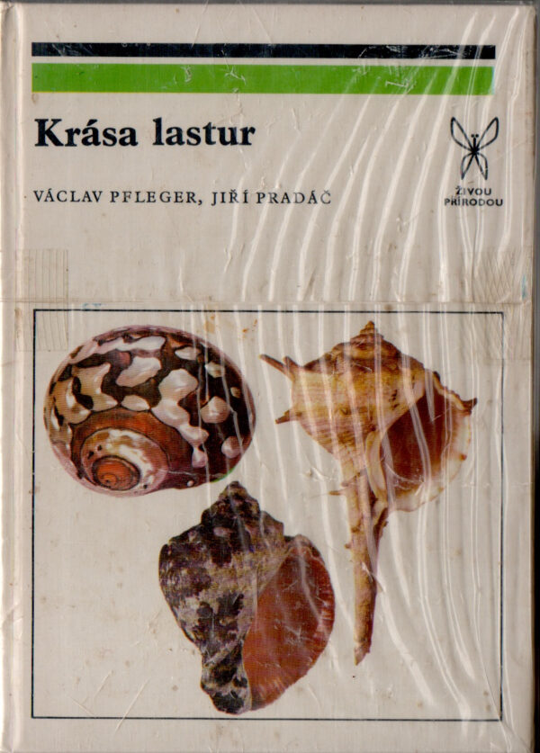 Krása lastur