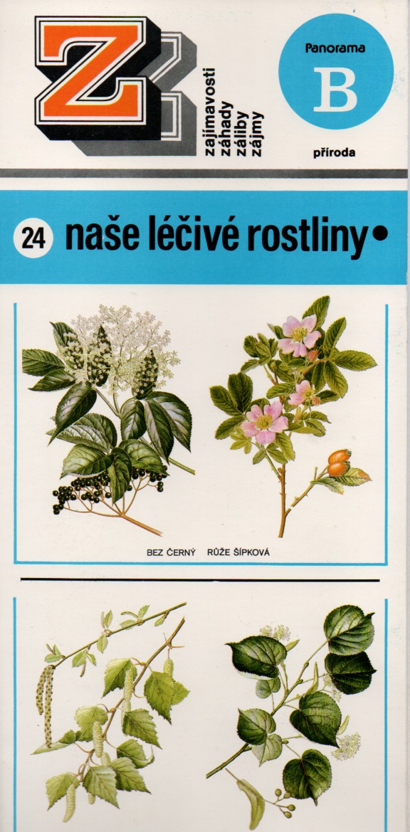 Z č. 24 – Naše léčivé rostliny