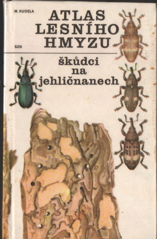 Atlas lesního hmyzu – škůdci na jehličnanech