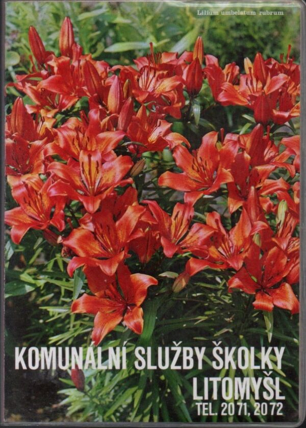 Katalog školky Litomyšl