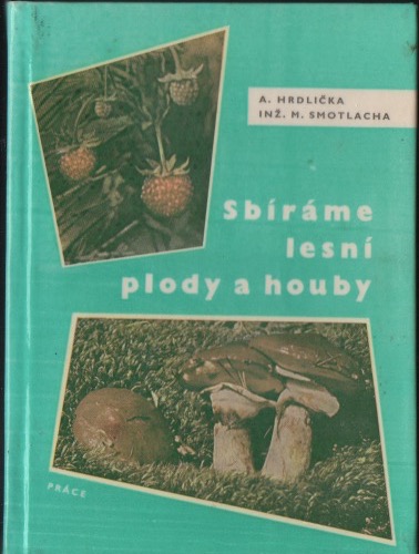 Sbíráme lesní plody a houby