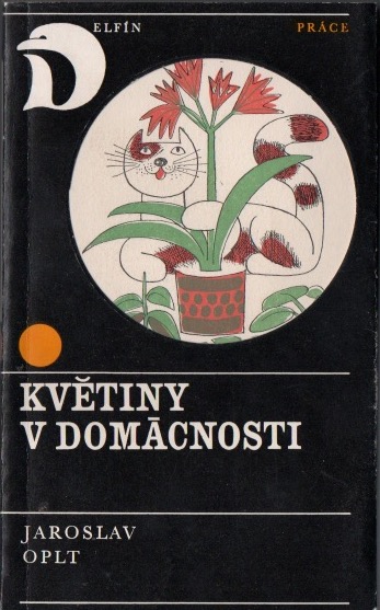 Květiny v domácnosti