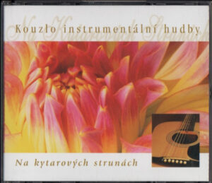 NA KYTAROVÝCH STRUNÁCH (3 CD)