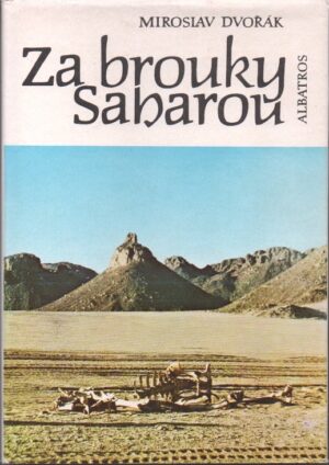 Za brouky Saharou
