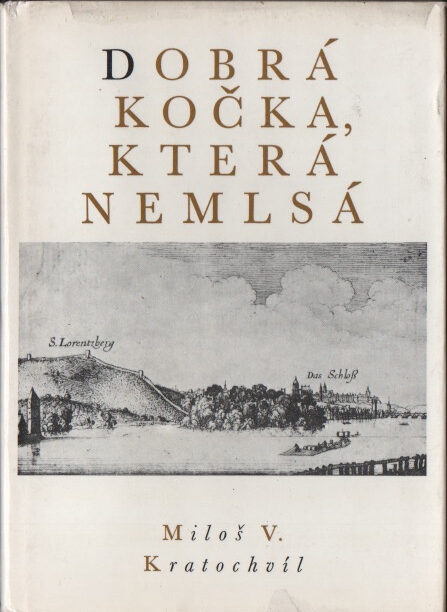Dobrá kočka, která nemlsá