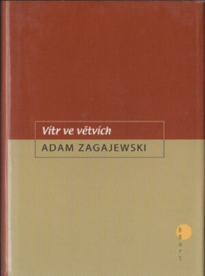 Vítr ve větvích